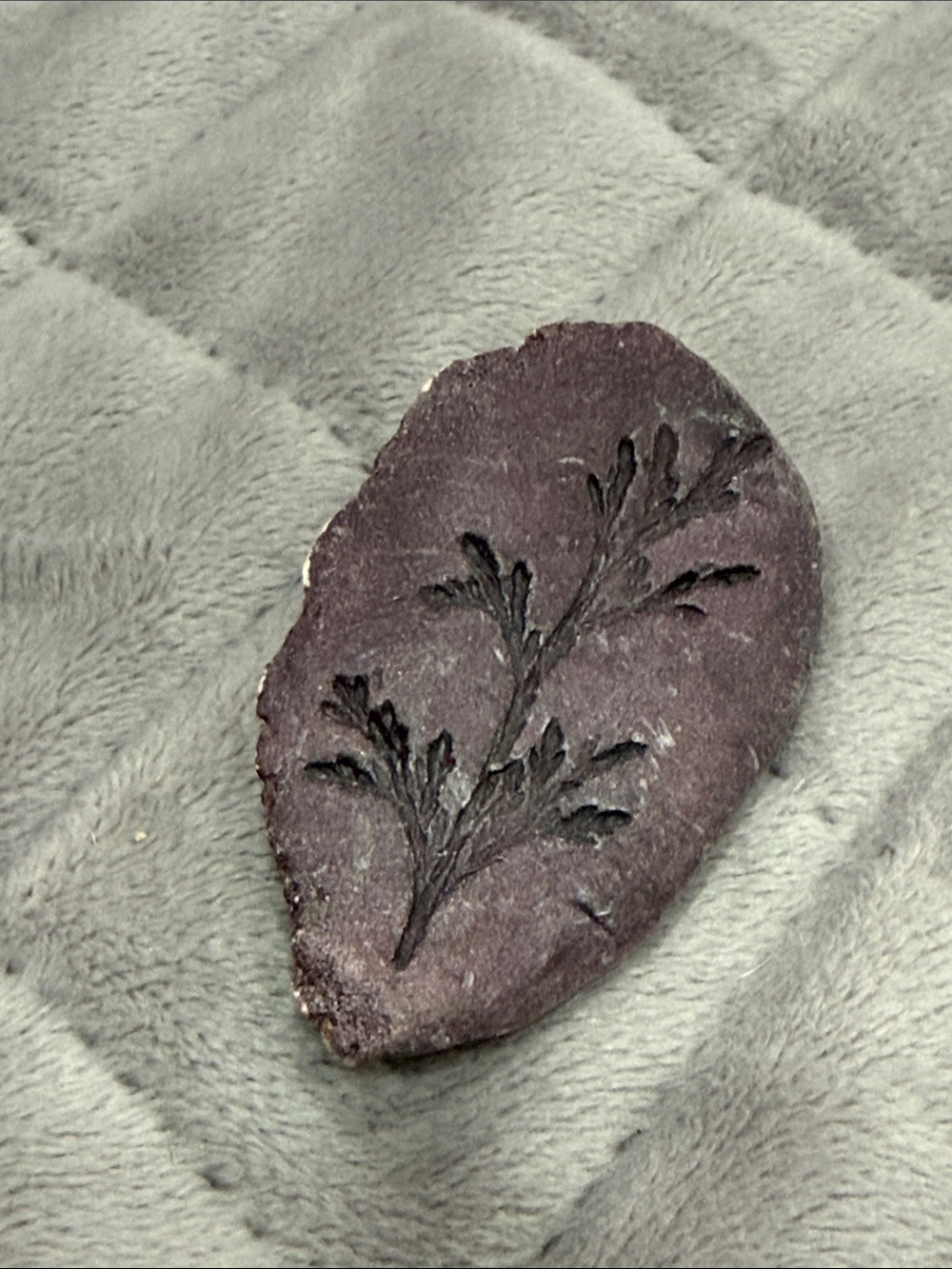 Purple Botanical Accent wood brooch -